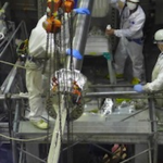 Diagnostics EDICAM assembly